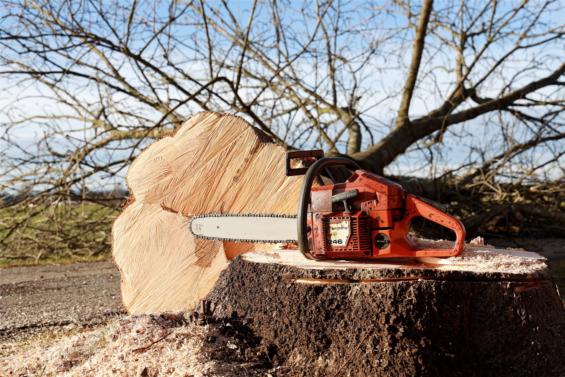 chainsaw-4815949_1920 removal